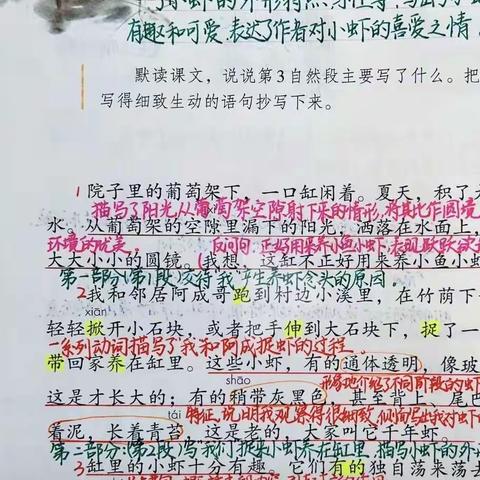 感受美好，学会观察