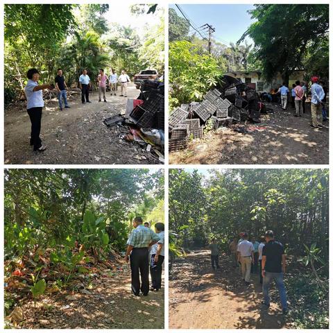 桂林洋公用事业公司集中整治五一社区农经队宿舍环境卫生