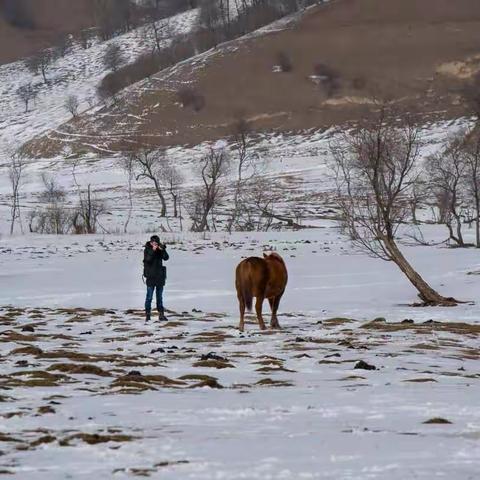 关山牧雪