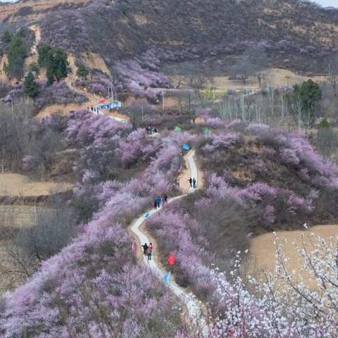 凤翔姚家沟桃花源