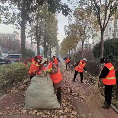【市政环卫科】落叶清扫 我们在行动