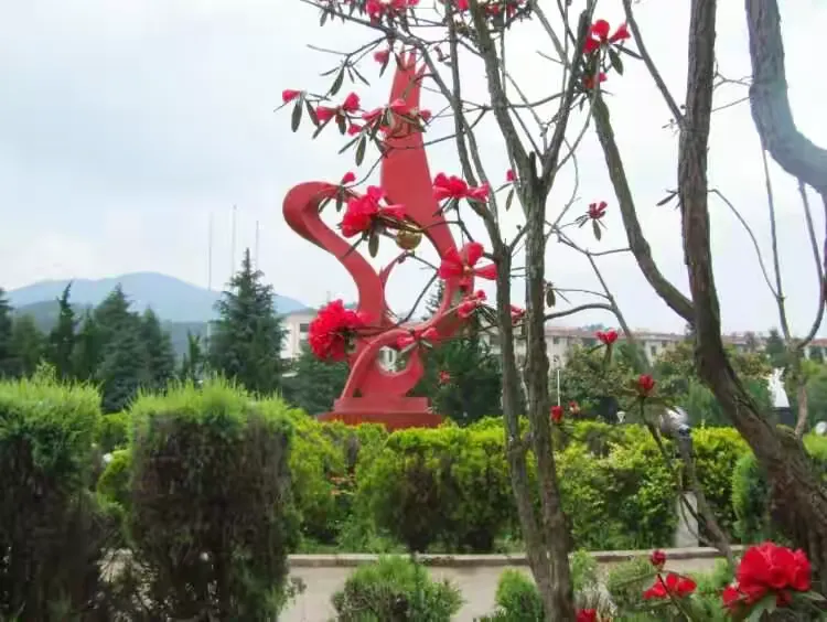 墨红中学花开别样红