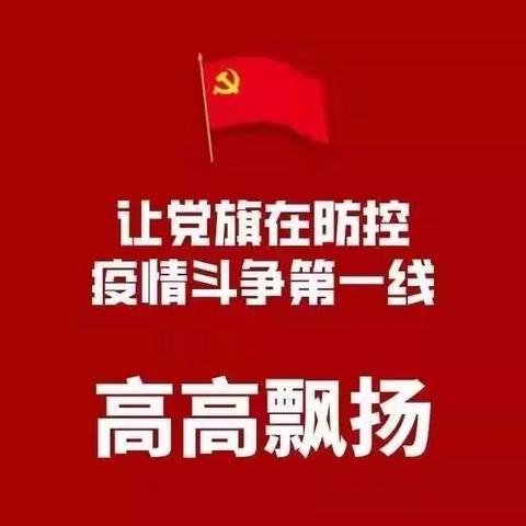 守初心，站好党员先锋岗；担使命，疫情防控党旗飘------栾川县第一实验小学第二党支部2月份主题党日活动掠影