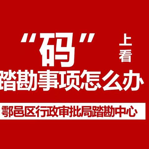 彩彩彩！鄠邑区行政审批局“码”上看踏勘事项怎么办，获得办事群众点赞好评