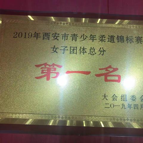 新城区组队参加2019年西安市青少年国际式摔跤、柔道锦标赛