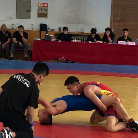 2018年西安市青少年国际式摔跤、柔道比赛顺利收官