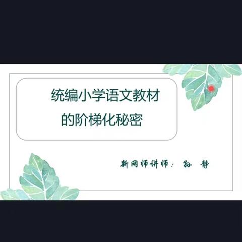 《统编小学语文教材的阶梯化秘密》