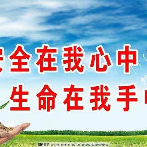 文小东校【六一中队】“安全 博爱”11月月度主题实践活动