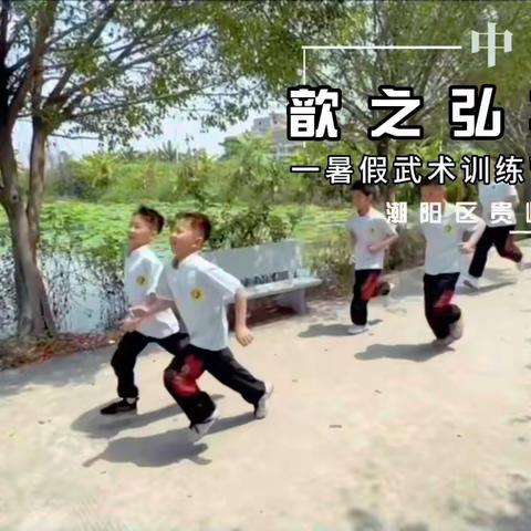 暑假武术夏令营——“传承中华武术 争做阳光好少年”