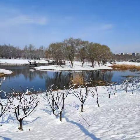 好雪知时节——2022.3