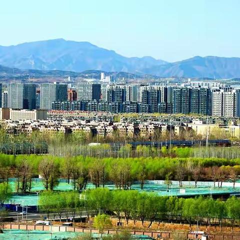 春风又绿大长阳