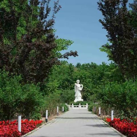 今日阶前红芍药    几花欲老几花新