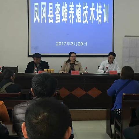 凤冈县蜜蜂养殖技术培训