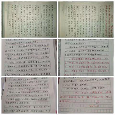 实验朝阳四三班优秀作业展评