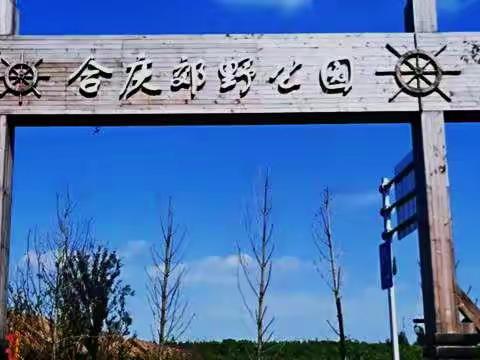 2021.11.4合庆郊野公园