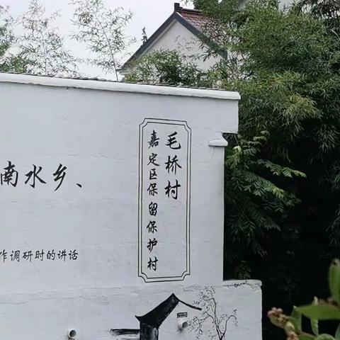 2022.7.31毛桥村 浏河 太仓