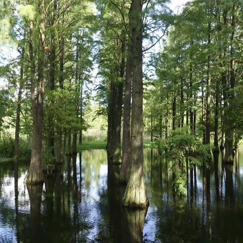 青西郊野公园农家乐 蔡浜村