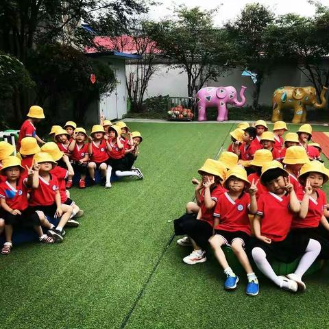 停课不停学之大班