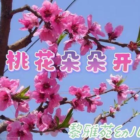 “桃花朵朵开🌸”黎雅苑幼儿园第六周教学活动计划&美好“食”光一周食谱