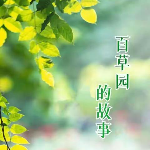 广研世界 安达未来—广安好声音“百草园的故事”（第七期）