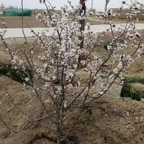 开学了，你准备好了吗？——同学们必须养成的几个好习惯