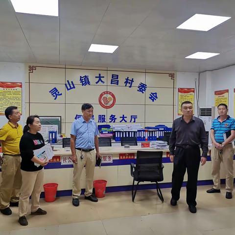 美兰区人大常委会副主任王祥建深入灵山镇大昌村委会调研