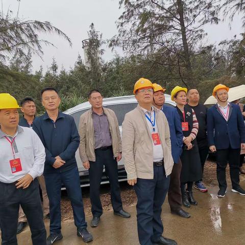 美兰区省市区镇四级人大代表到东营港调研