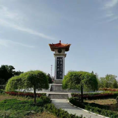 这里的槐花最艳丽