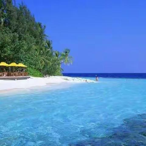 畅游海南双飞六日游