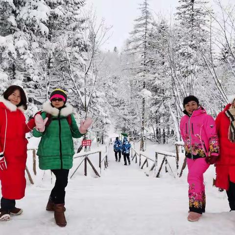 冰雪奇缘的雪松童话，四姐妹仙境畅游，坐着摇椅慢慢回味2019-12-14