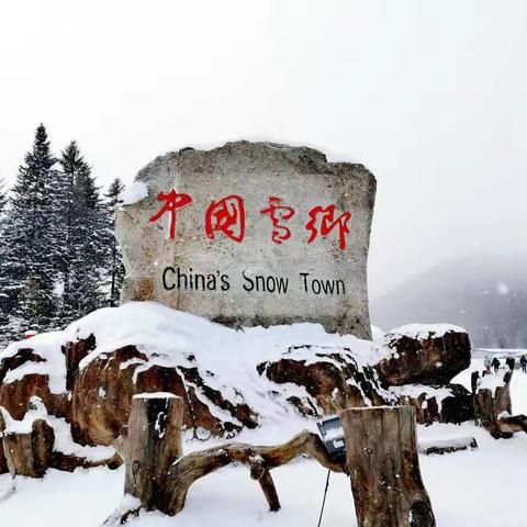 雪谷穿越雪乡，整个行程20公里，林海雪原迎风斗雪，姹紫嫣红，享受一下杨子荣深入虎穴的路线