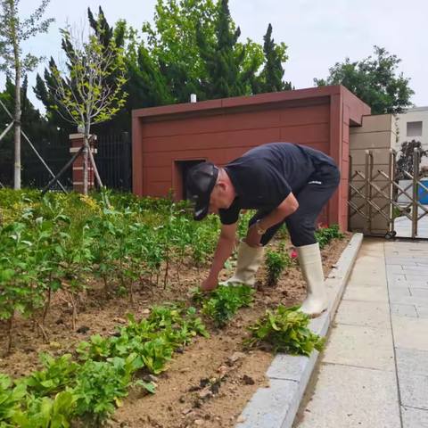 晚霞织锦绣 余热谱华章：退休党员教师张其进的一天