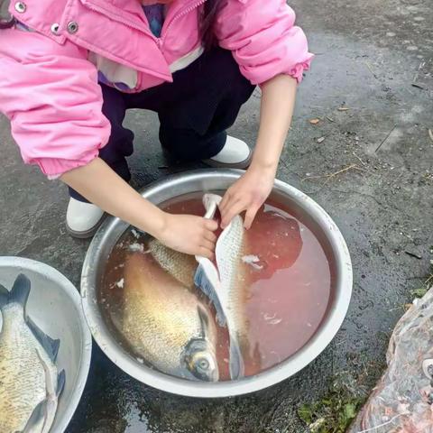 白龙桥第二小学三（2）班  秦可心