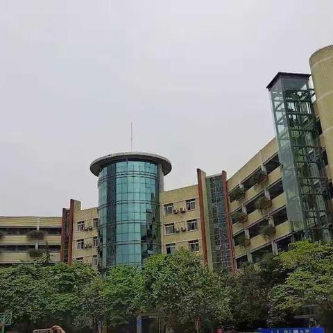 紫荆花开  师道流香