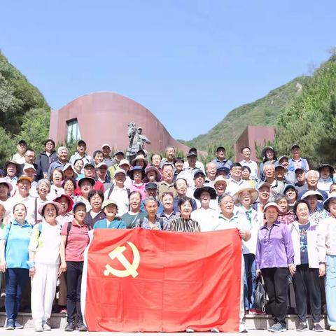 十字口社区党委主题党日活动