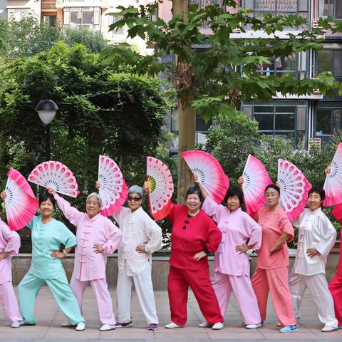 绽放在丰和园里的太极风彩