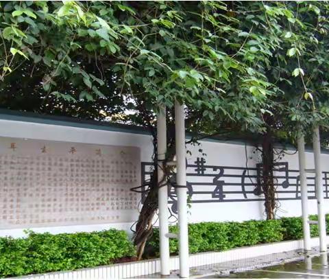 玉溪聂耳小学·新兴校区2022—2023学年秋季学期课后服务【报名通知】