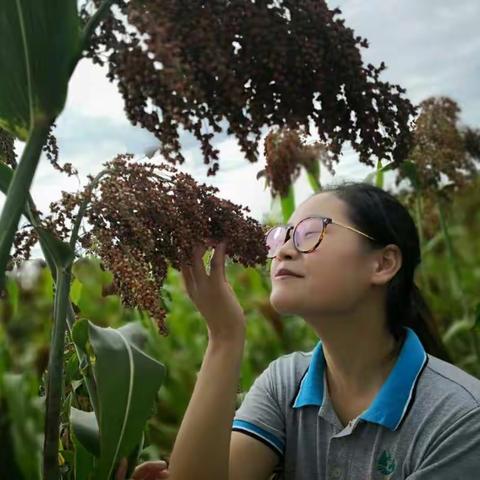 寻香蜜语