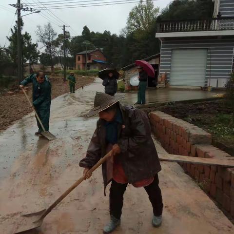 倪家仓村民今天冒雨整治环境卫生