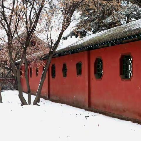 ❄️追踪雪中晋祠公园📷❄️