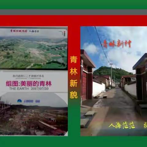 幻灯片《美丽的青林》