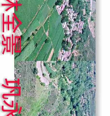 青林全景图