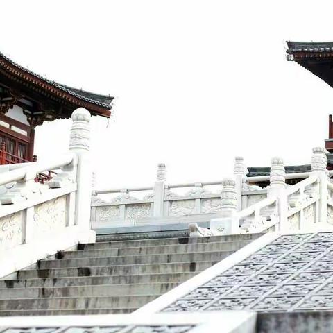 我的美篇