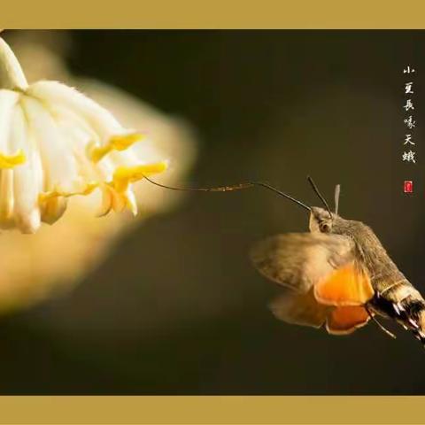 我的美篇