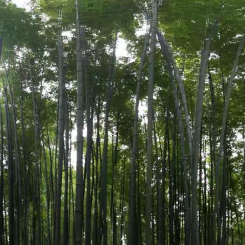 走街串巷之重游川南（中）
