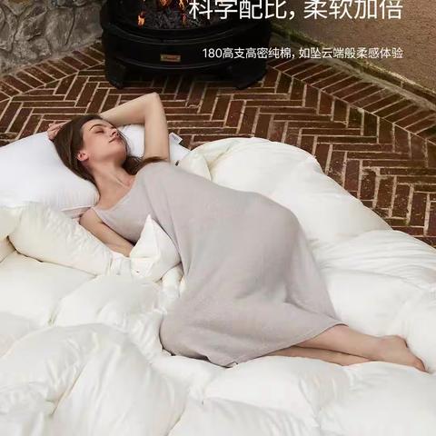 2023/2024年度鹅绒被推介