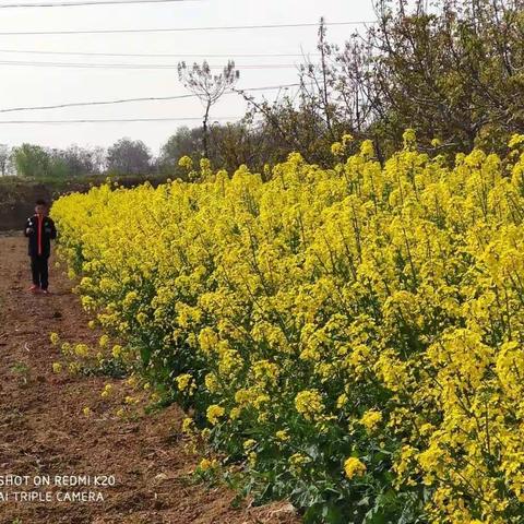 我是你友善的邻居高子皓的美篇