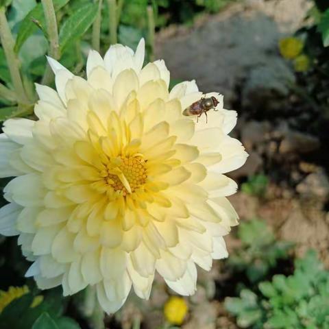 我是你友善的邻居高子皓的美篇