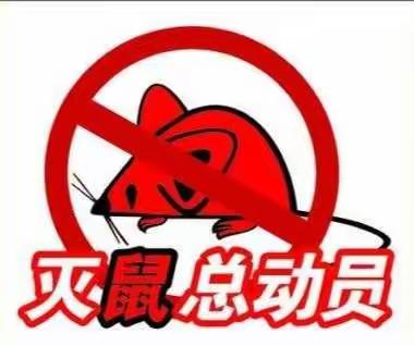 灭鼠害   保健康