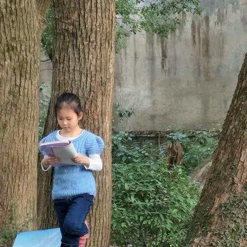 此处，阳光甚好